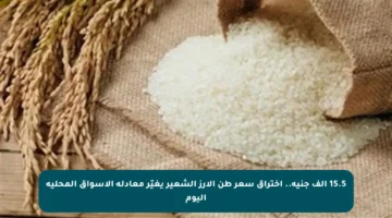 15.5 ألف جنيه.. اختراق سعر طن الأرز الشعير يغيّر معادلة الأسواق المحلية اليوم
